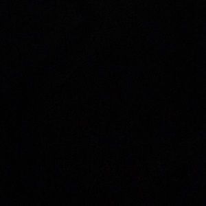 Meet your Posher, Anne